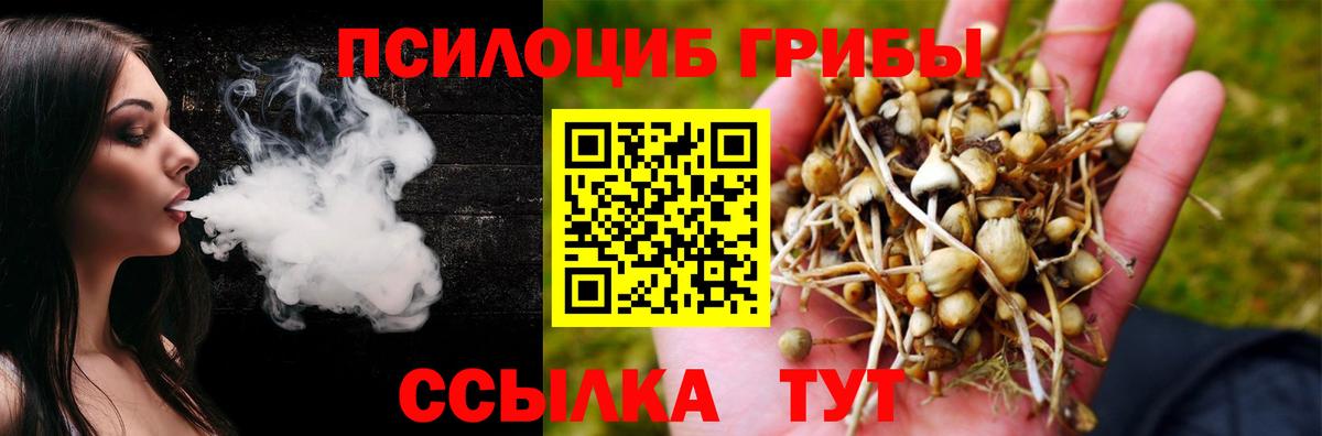 Псилоцибиновые грибы мицелий Лянтор